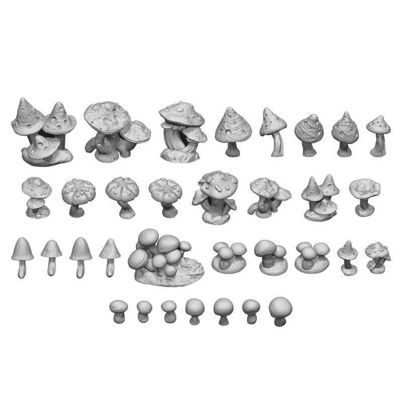 Wild Mushrooms 1:48